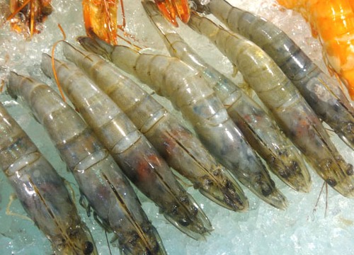 Imported shrimp
